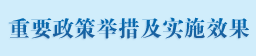 重要政策舉措及實施效果